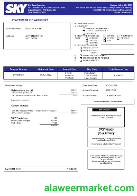 Philippines Sky Cable Corporation business utility bill Word and PDF template (2)